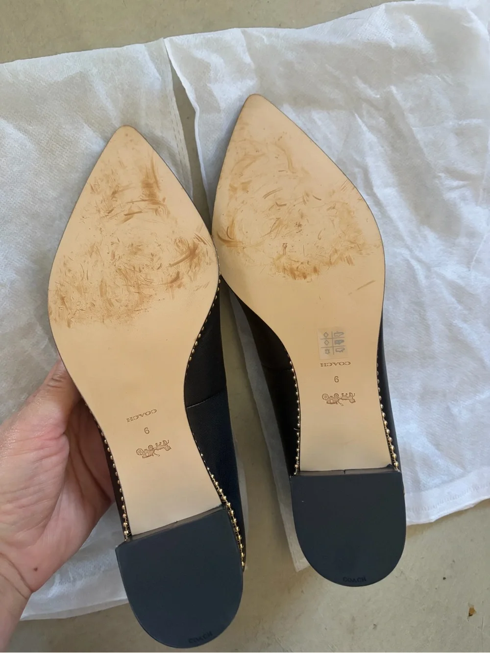 Coach Black Pointed Toe Willa Pump